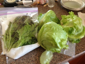 head lettuce and salad lettuce